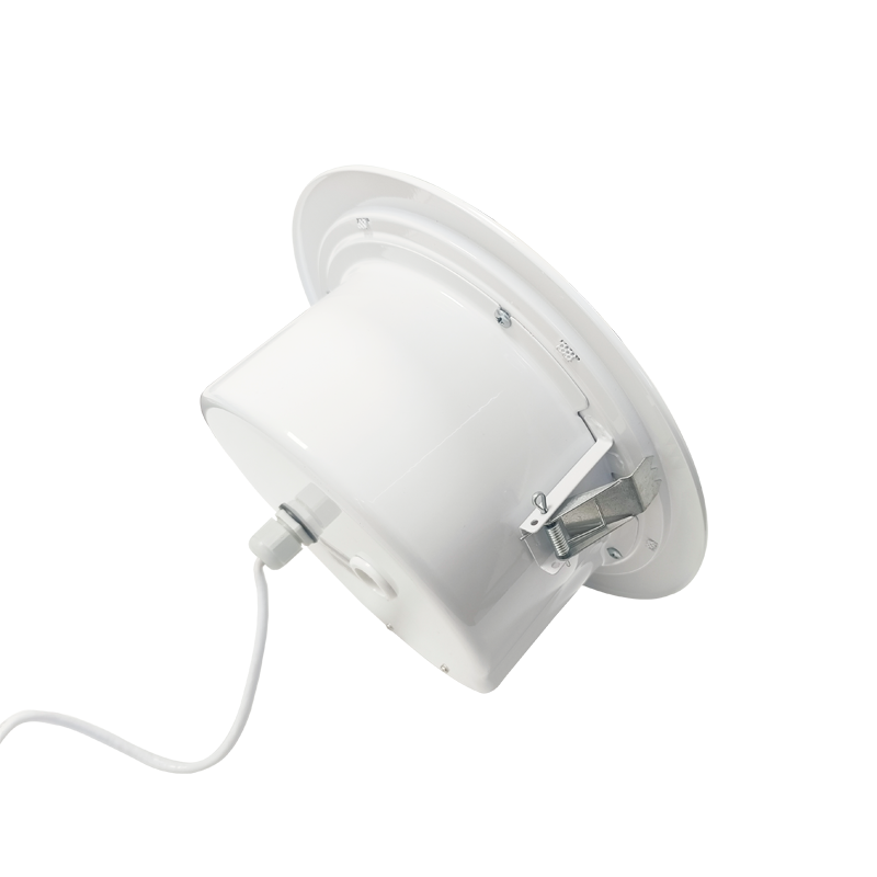 network ceiling speaker